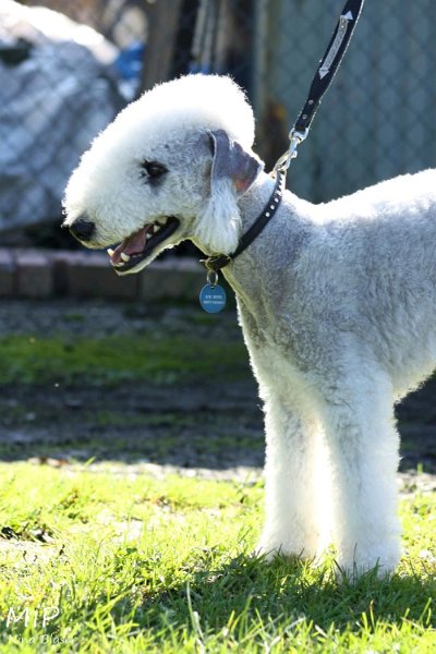 2010-10-03 Coursing-Training GE (5).jpg